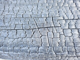 Background of burnt wood wall texture abstract for design.