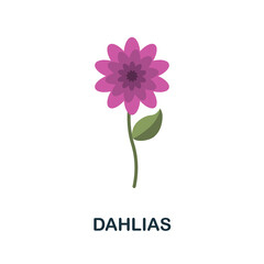 Dahlias flat icon. Colored element sign from flowers collection. Flat Dahlias icon sign for web design, infographics and more.