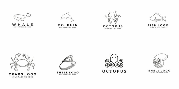 sea animal logo illustration vector design nature icon whale dolphin octopus fish crabs shell