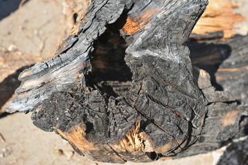 Almaty / Kazakhstan - 09.04.2012 : Large fragments of charred wood after a forest fire lie on the roadway.