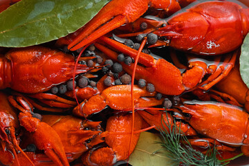 Cooking freshwater crayfish in spices. Crawfish boil close-up.