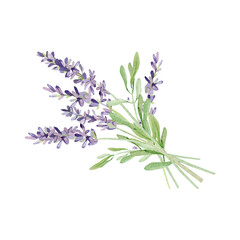 Watercolor lavender bouquet for wedding card. Hand painted vintage violet flowers with leaves and branch isolated on white background. Spring wildflowers wreath illustration for invite card,  logo