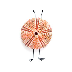 amusing little aliens made of sea urchin skeleton, a with sketchily drawn legs and antennae,

