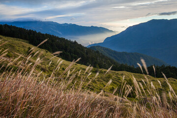 Beautiful autumn scenery in Taiwan, The fallen leaves beautiful color picture, Asia - Beautiful landscape of highest mountains blue sky in fall seaon at Taroko National Park, Taiwan
