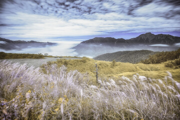Beautiful autumn scenery in Taiwan, The fallen leaves beautiful color picture, Asia - Beautiful landscape of highest mountains blue sky in fall seaon at Taroko National Park, Taiwan