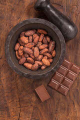 cacao beans and chocolate - 490026765