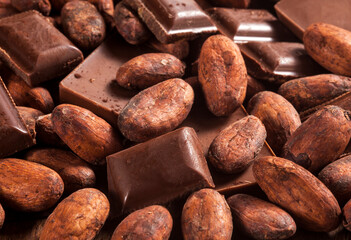 chocolate and cacao beans - 490026769