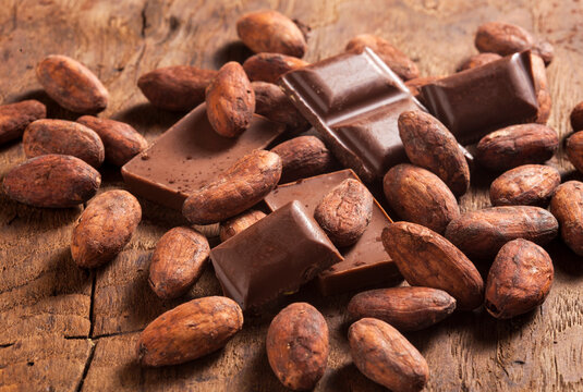 chocolate and cacao beans