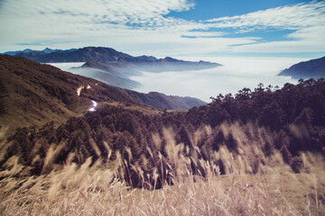 Beautiful autumn scenery in Taiwan, The fallen leaves beautiful color picture, Asia - Beautiful landscape of highest mountains blue sky in fall seaon at Taroko National Park, Taiwan