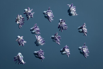 Abstract pattern of purple hyacinth  flowers on mirror like flying birds in the  blue sky
