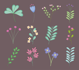 leaves and flowers icon set