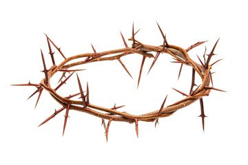 Crown of thorns on white background