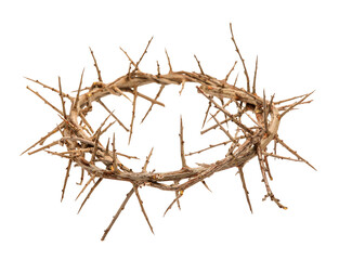 Crown of thorns on white background