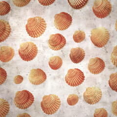 stylish textured old paper background with cockle shells