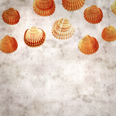 stylish textured old paper background with cockle shells