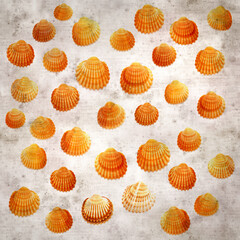 stylish textured old paper background with cockle shells