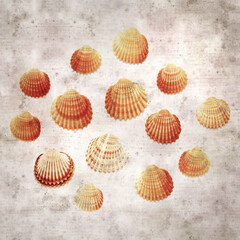 stylish textured old paper background with cockle shells