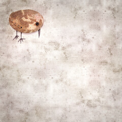 stylish textured old paper background with funny little birds made of a green ormer shell