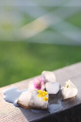 Fototapeta na wymiar Summer flowers in ice cubes on wood in sunny day