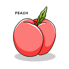 Hand drawn peach icon with leaf. Vector illustration in doodle style