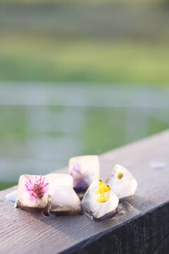 Summer flowers in ice on wood. Hot sunny day