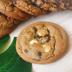 chocolate chip cookies