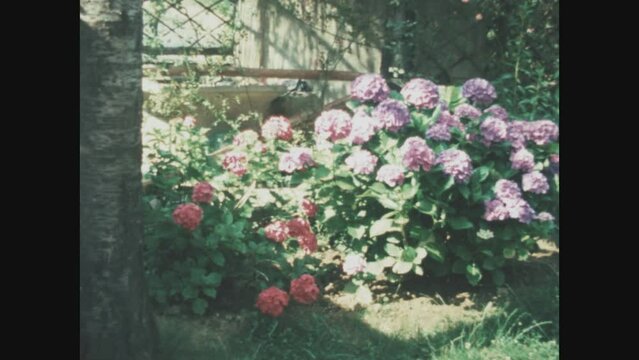 Italy 1965, Flowering garden in spring