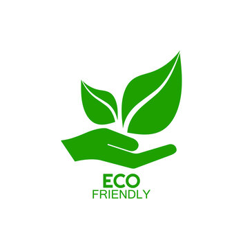 eco friendly sign on white background