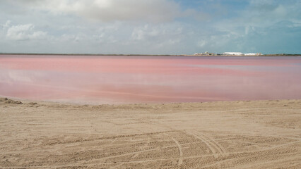 Rio lagartos lagoon, Mexico Yucatán, pink lagoon, Las coloradas. Pink lake with palmtrees
