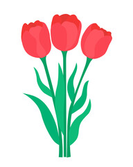 Bouquet scarlet tulips. Trio beautiful red spring flowers hand drawn. Colorful flowering spring symbol. Closed tulip buds isolated vector illustration