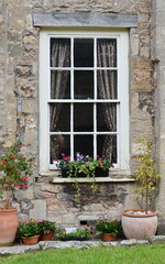 Obraz na płótnie Canvas window with flowers in pots