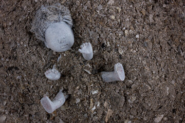 Abandoned doll in a pile of grey ashes. Violence against the Ukrainian people concept. War, devastation and ruins in Ukraine, 2022.
