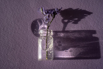 A bottle of cosmetic gel and lavender on a purple background.