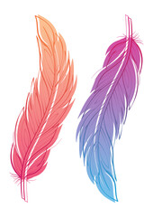 Beautiful fluffy feathers illustration. Silhouette with gradient isolated vector