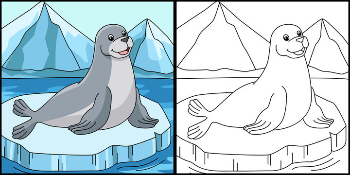 Seal Coloring Page Animal Illustration