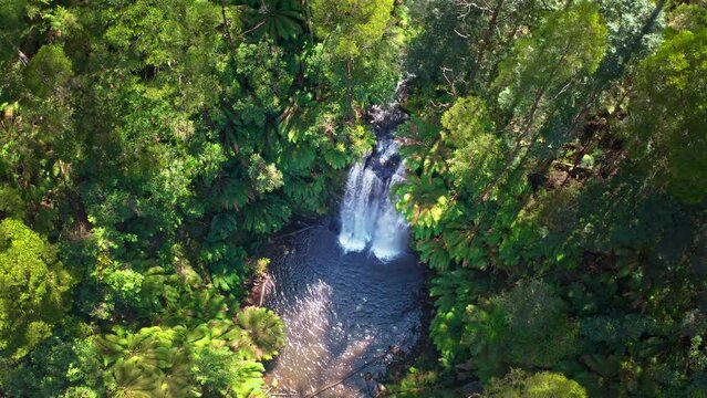 Otway national park, Australia. Waterfall in jungle forest