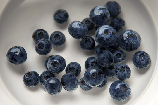 Closeup Top View Above Soaking Heap Group Fresh Organic Picked Blueberries With Cold Water Mixed Vinegar In A White Bowl Background. Washing For Reduce And Remove Bacterial Before Eating Concept