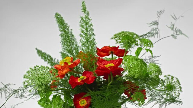 Amaizing bouquet of wild flowers on a white background. 