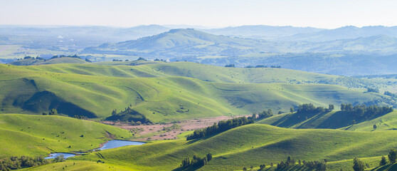 Green hills, meadows and trees. Sunny summer day, countryside. Panoramic view.