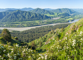 Fototapeta na wymiar The Katun River flows in the Altai mountains, the summer sunny landscape