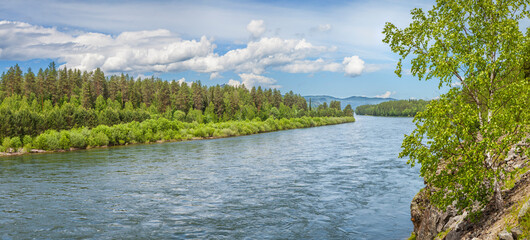View of the forest river, summer greens, panoramic view