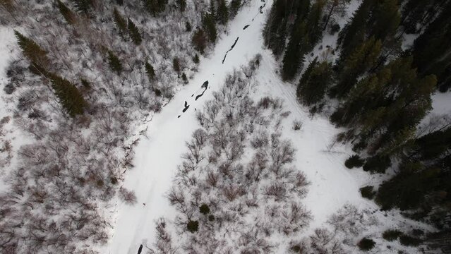 Winter landscape, drone flight in a national park in Siberia