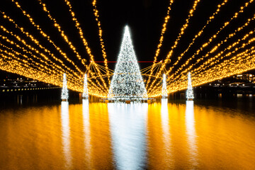 環水公園のライトアップ © 雄刀 鷲巣