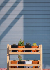 Group of small cactus in wooden shelf with blurred abstract shadow pattern on gray wall background outside of home