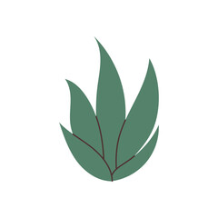 Hand drawn leaf element for your design