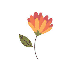 Hand drawn flower element for your design