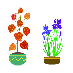 A collection of wild and garden flowers in vases isolated on a white background.
 A bunch of bouquets. A set of decorative elements of floral design. Flat vector illustration.