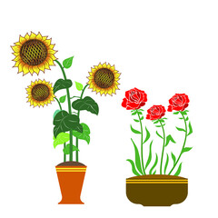 Obraz premium A collection of wild and garden flowers in vases isolated on a white background. A bunch of bouquets. A set of decorative elements of floral design. Flat vector illustration.