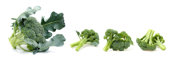 broccoli isolated on white background
