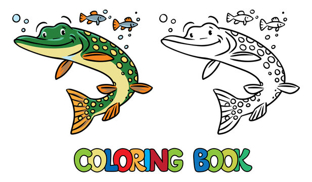 Pike in water coloring book. Kids vector
